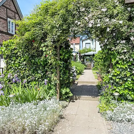 Speicher By Interhome דירה Gingst